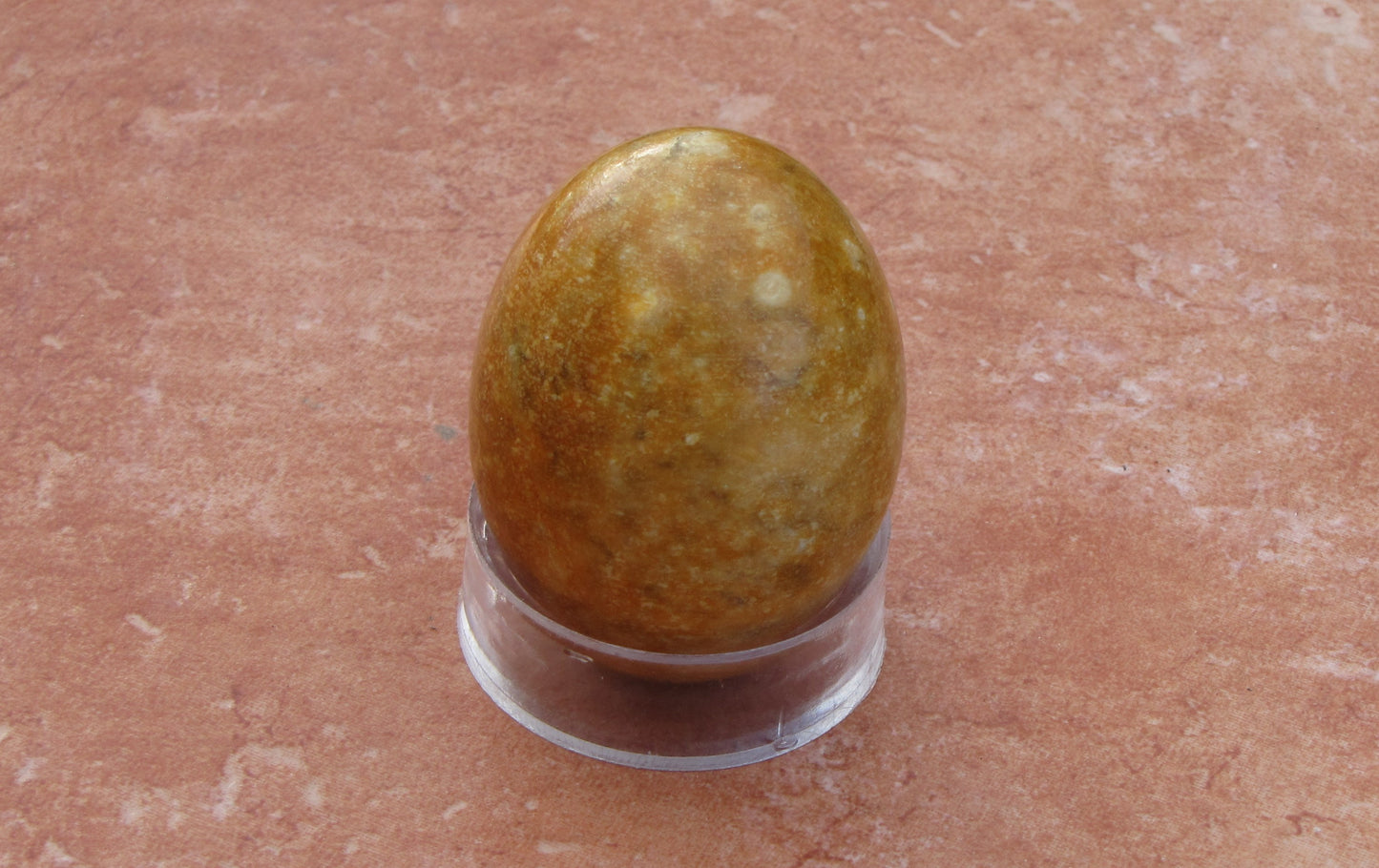 ButterScotch Jasper Egg