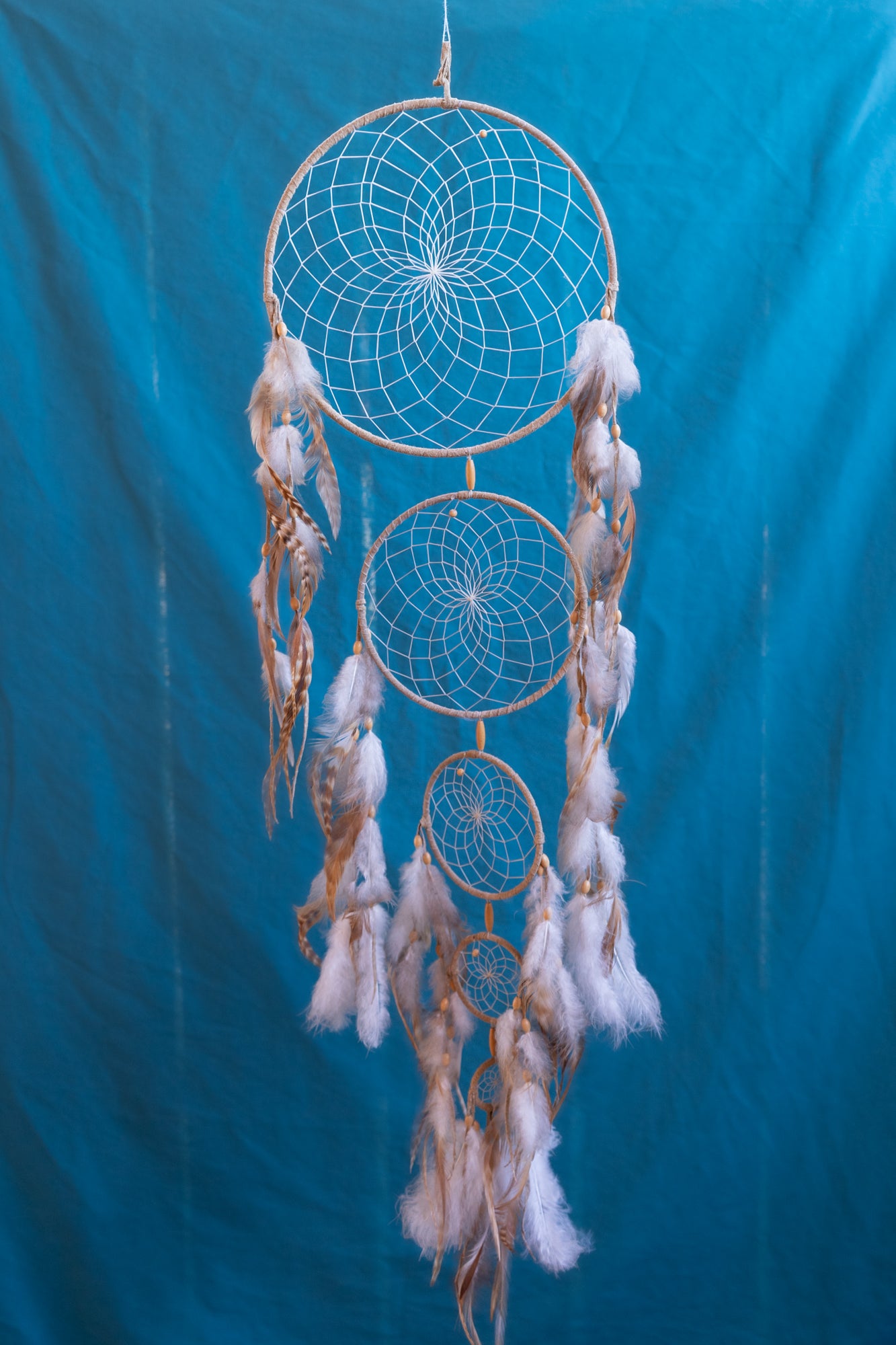 Native American Dreamcatcher Art