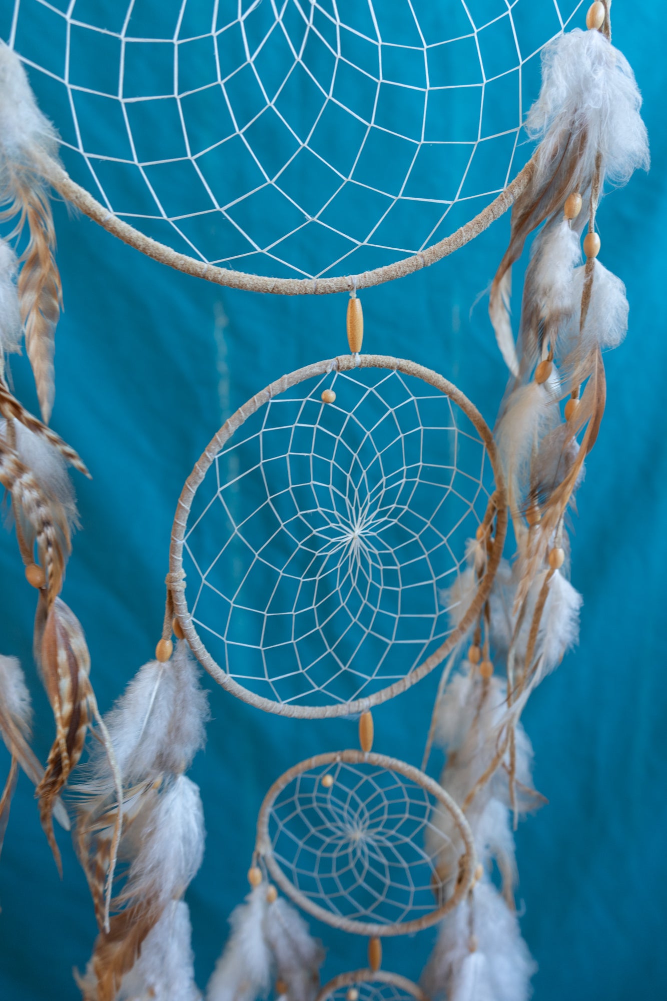 Native American Dreamcatcher Art