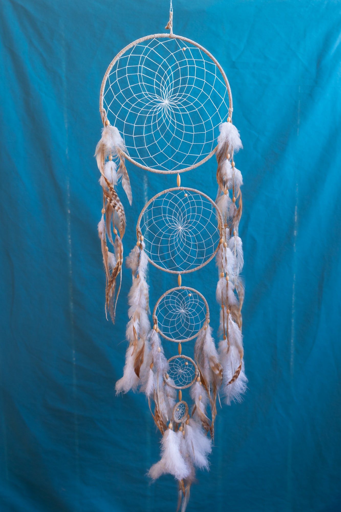 Native American Dreamcatcher Art