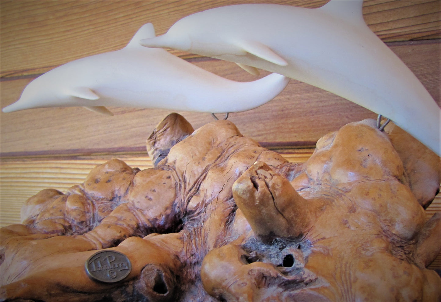 John Perry White 2 Dolphins on Burl Wood