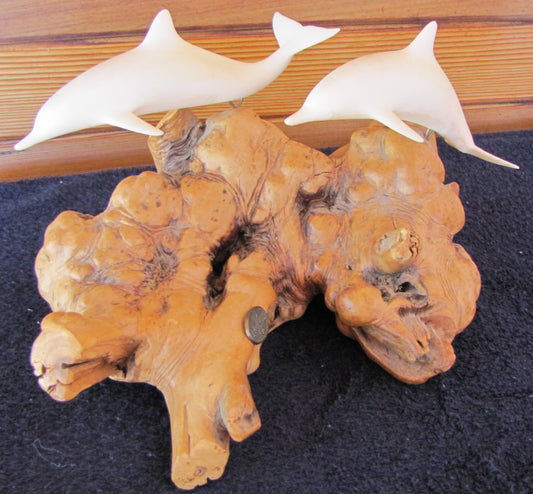 John Perry White 2 Dolphins on Burl Wood