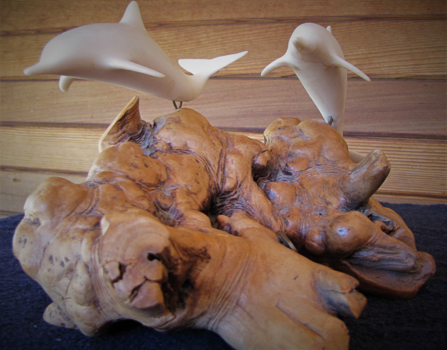 John Perry White 2 Dolphins on Burl Wood