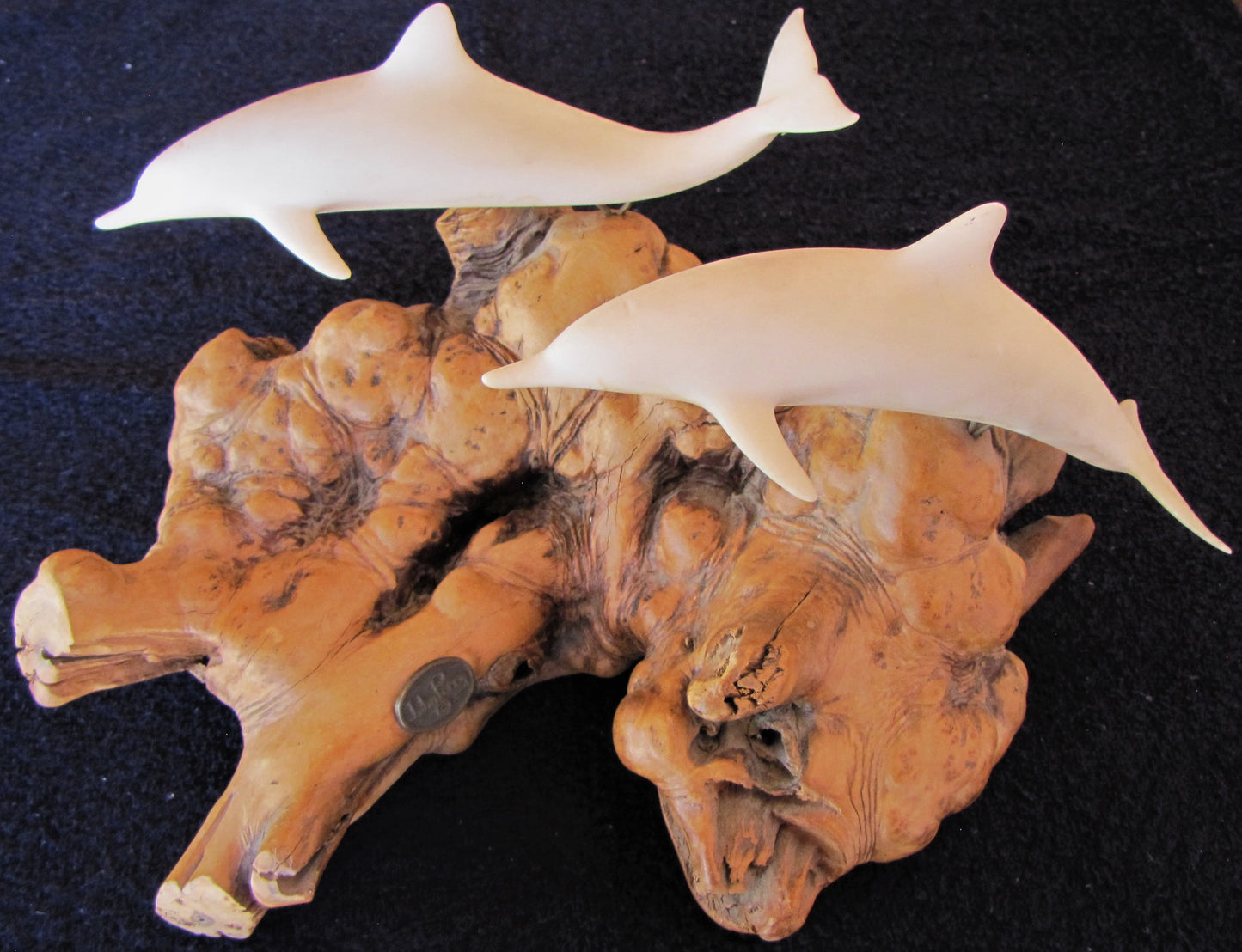 John Perry White 2 Dolphins on Burl Wood