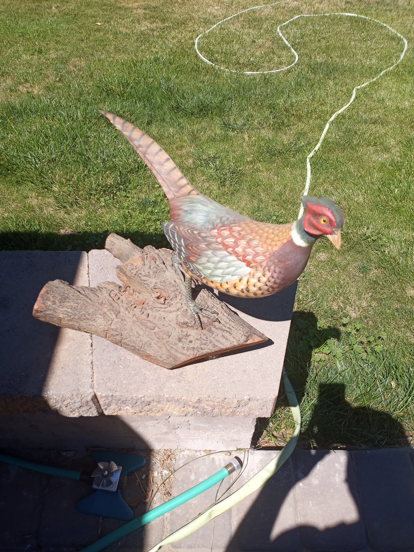 1982 The Ringed Necked Pheasant, Created by Ken Michaelsen, An Official Issue Of the National Audubon Society