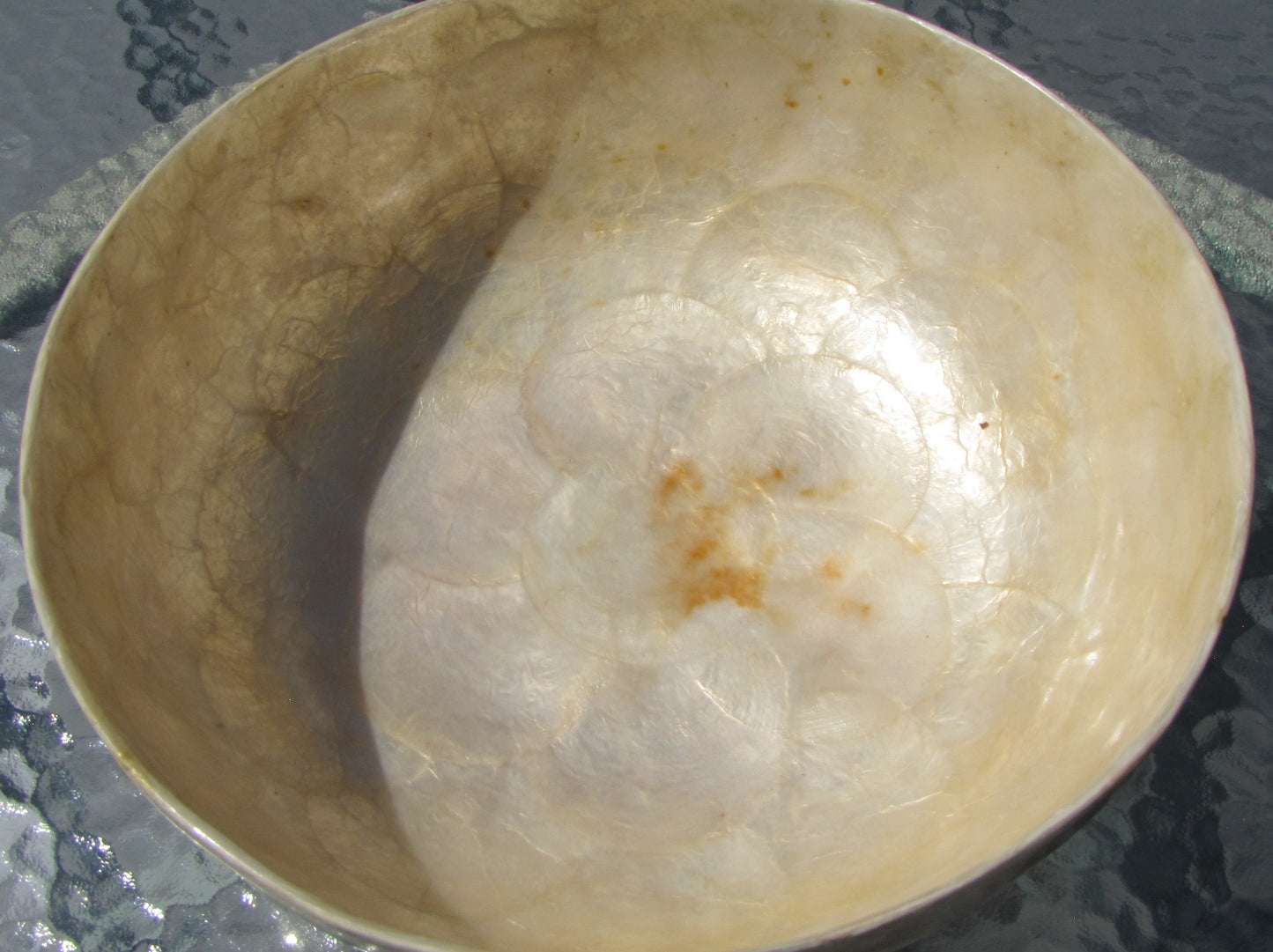 Vintage, 10" Oyster Shell Bowl. from the islands