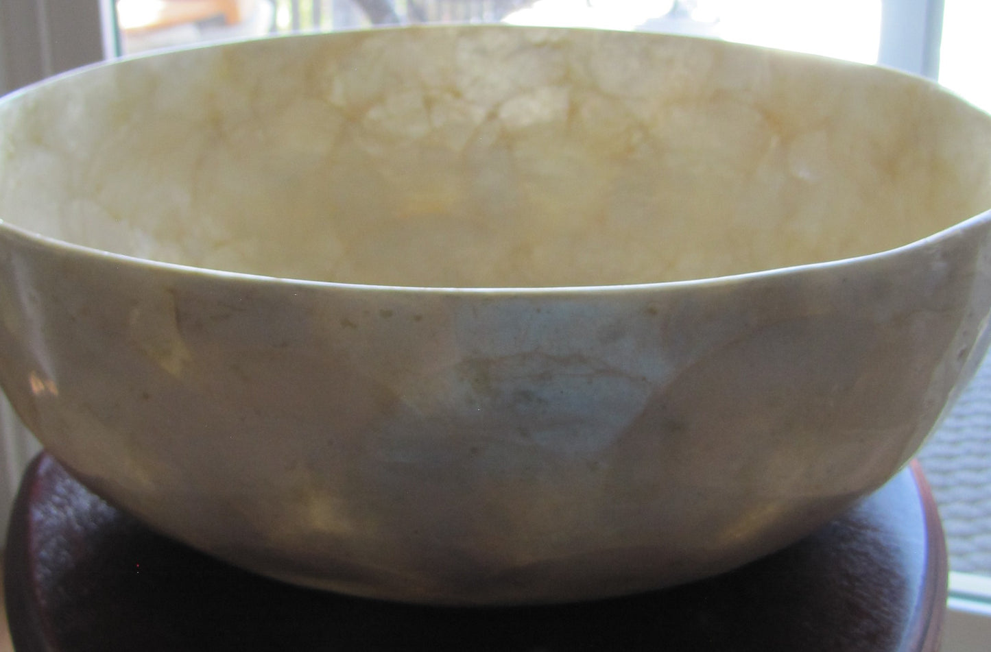 Vintage, 10" Oyster Shell Bowl. from the islands