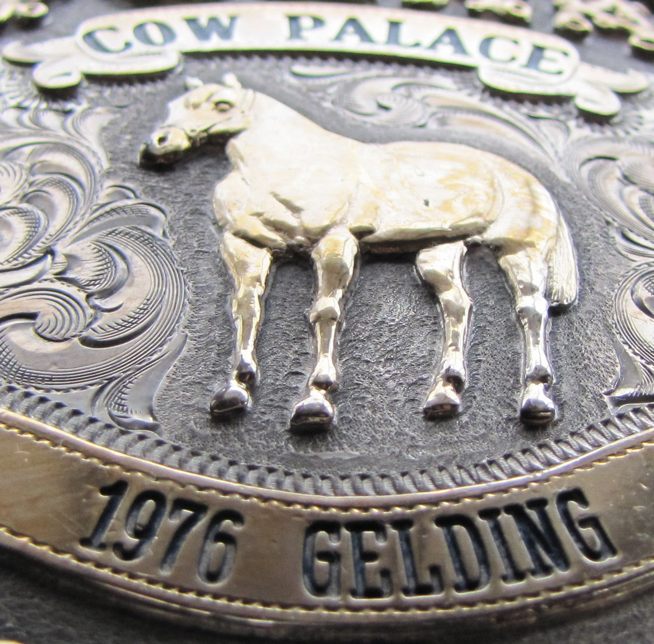 1979 PCOHA Sterling Silver Cow Palace Belt Buckle 1976 Gelding