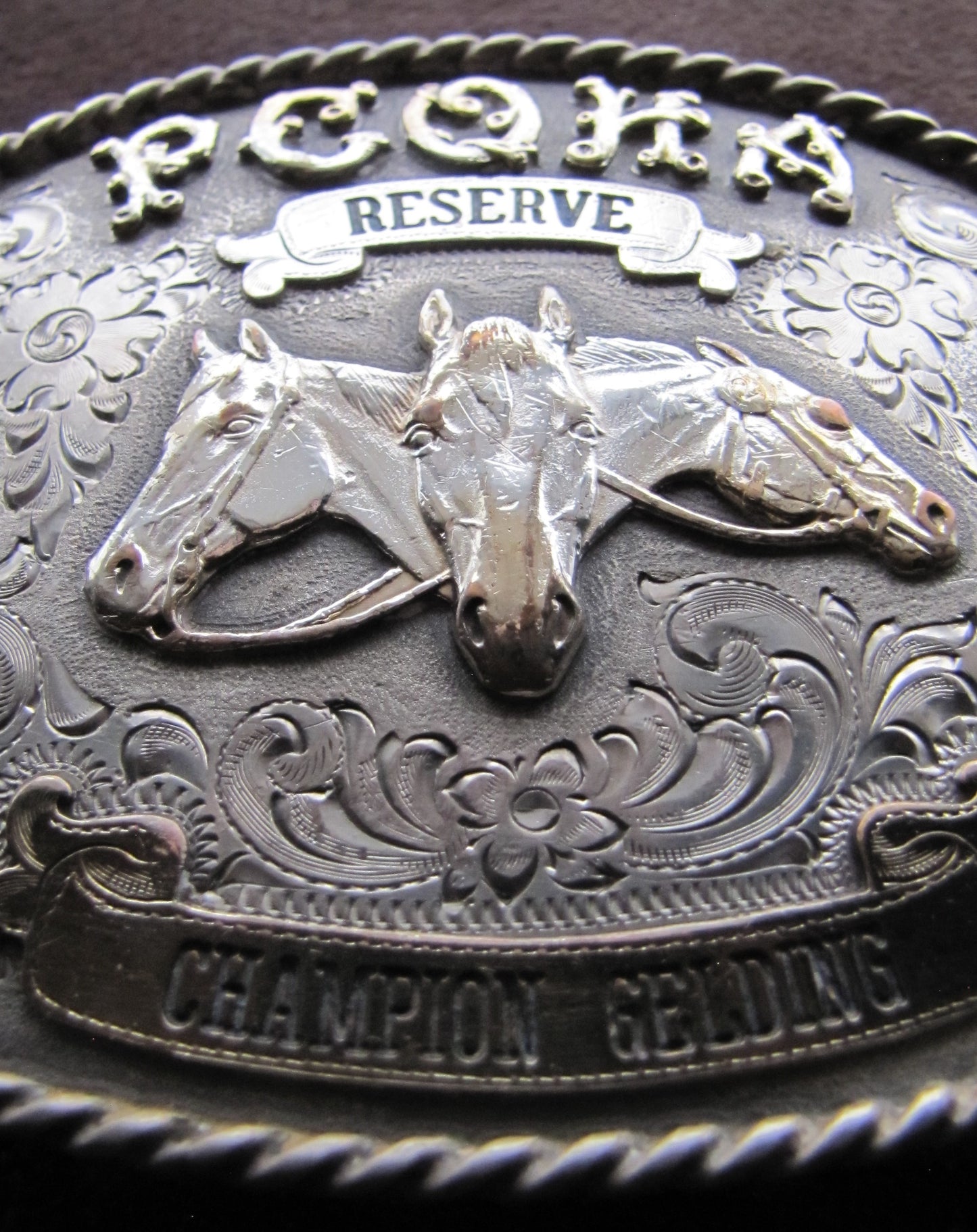 1979 PCOHA Sterling Silver Belt Buckle,  1979 Champion Gelding